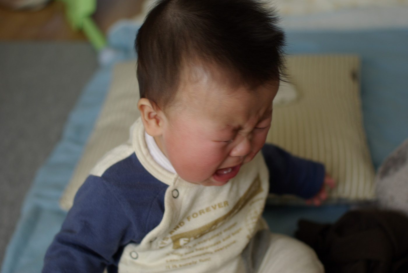 blog_imgp0190 blog_imgp0190