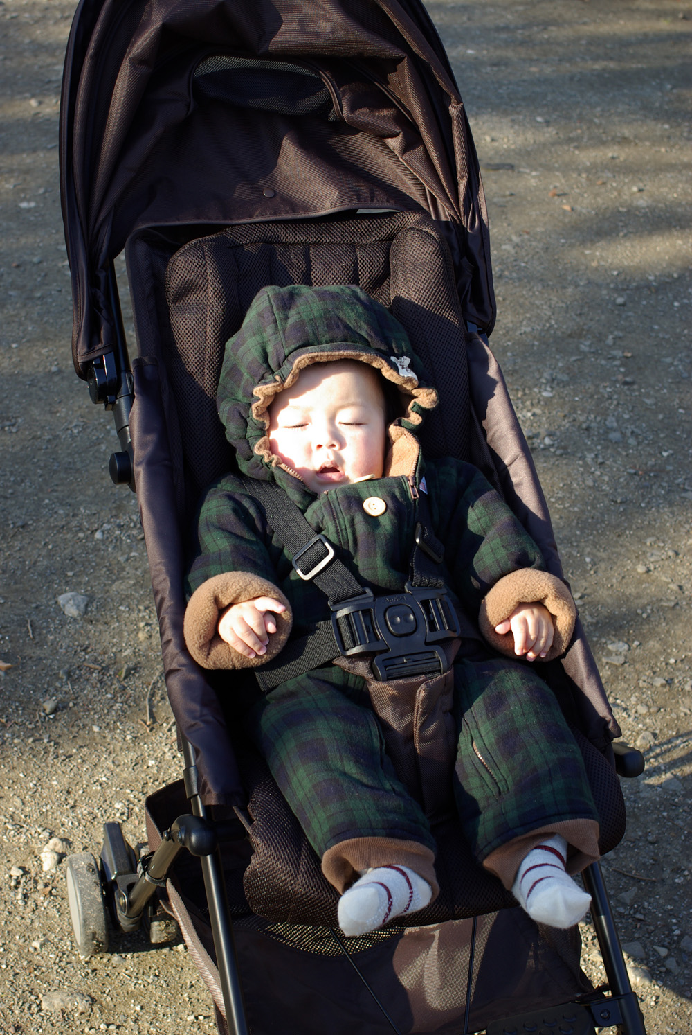 blog_imgp9755 blog_imgp9755