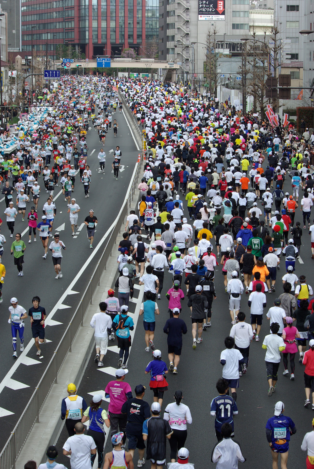 blog_imgp2722 blog_imgp2722