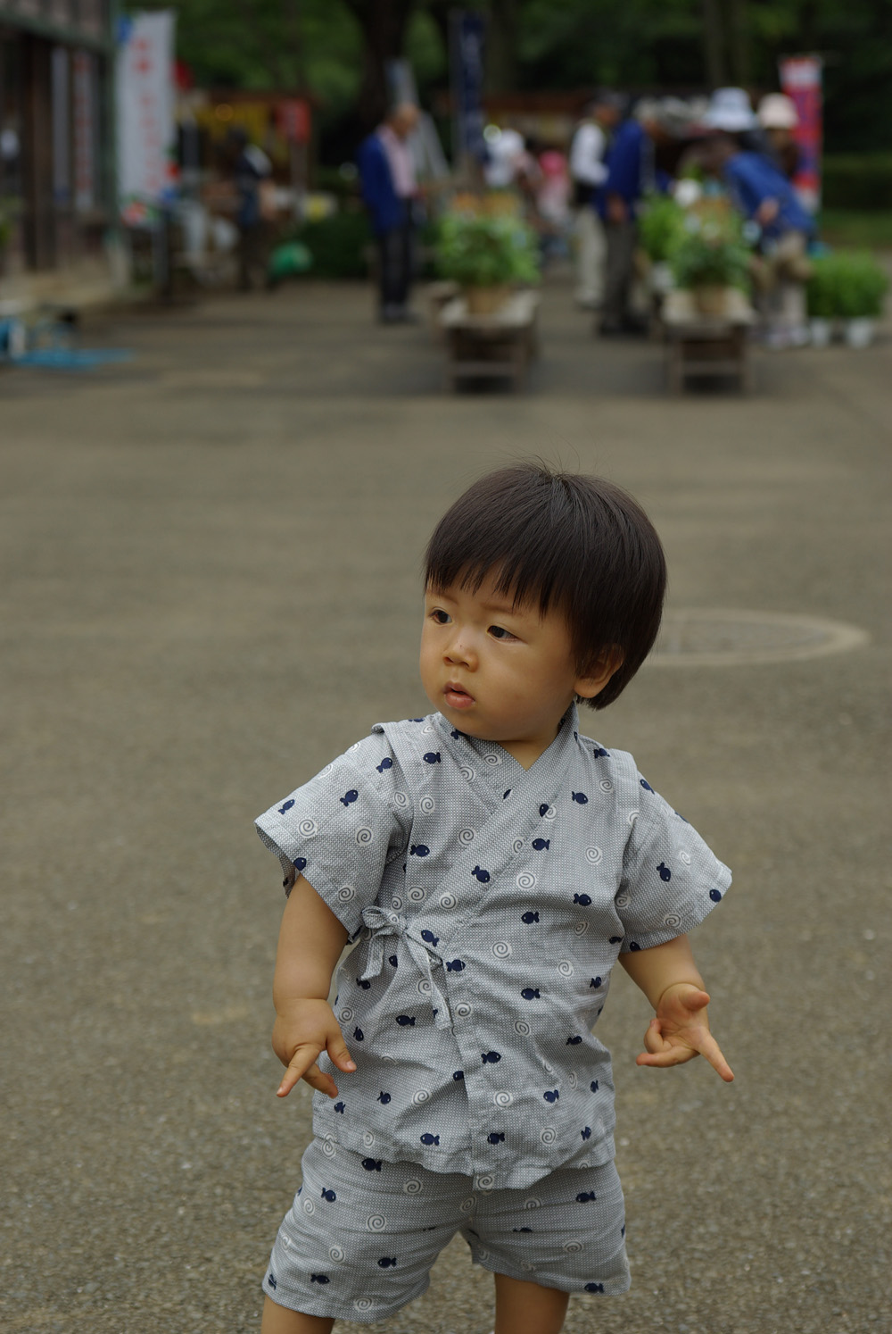 BLOG_IMGP5944 BLOG_IMGP5944