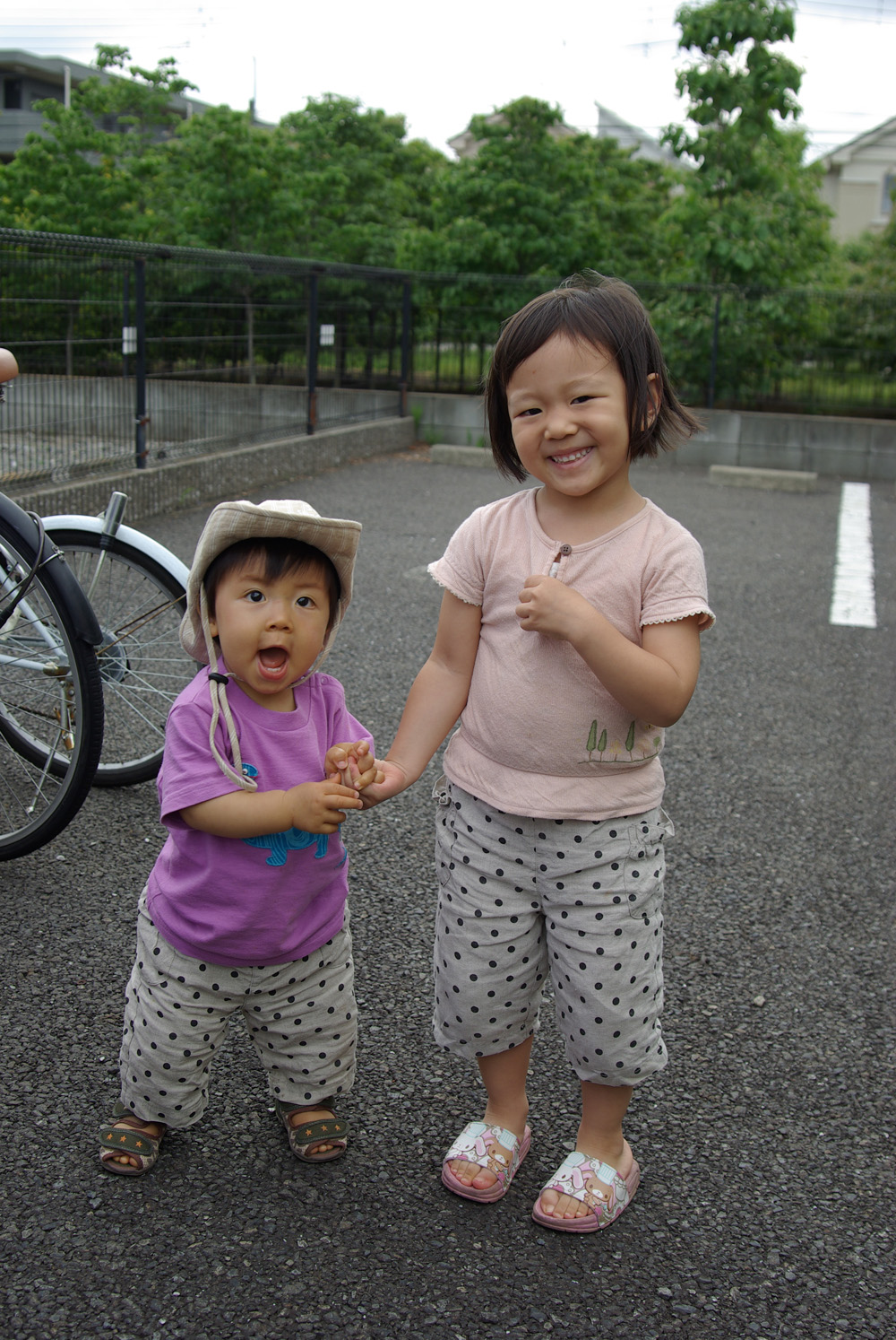 blog_imgp5485 blog_imgp5485