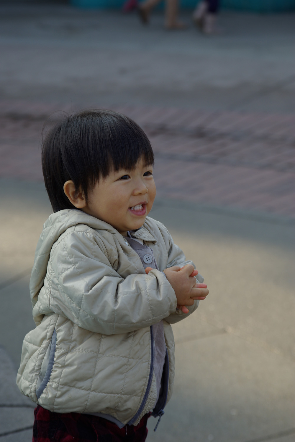 BLOG_IMGP8232 BLOG_IMGP8232