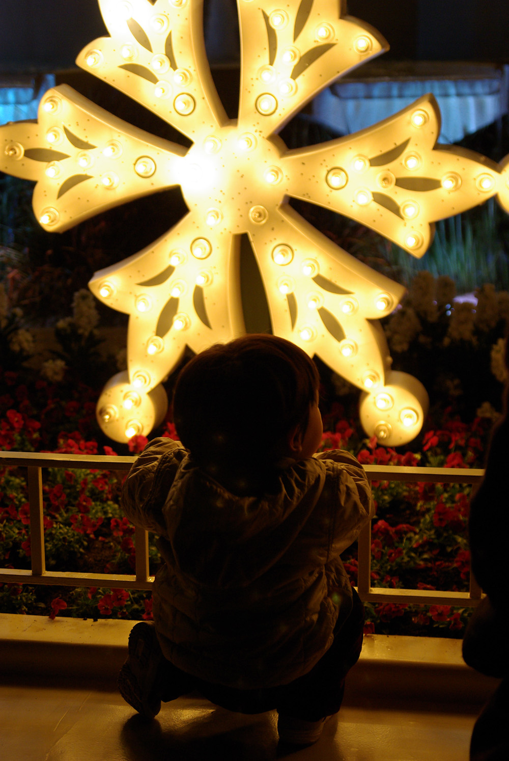 BLOG_IMGP8335 BLOG_IMGP8335