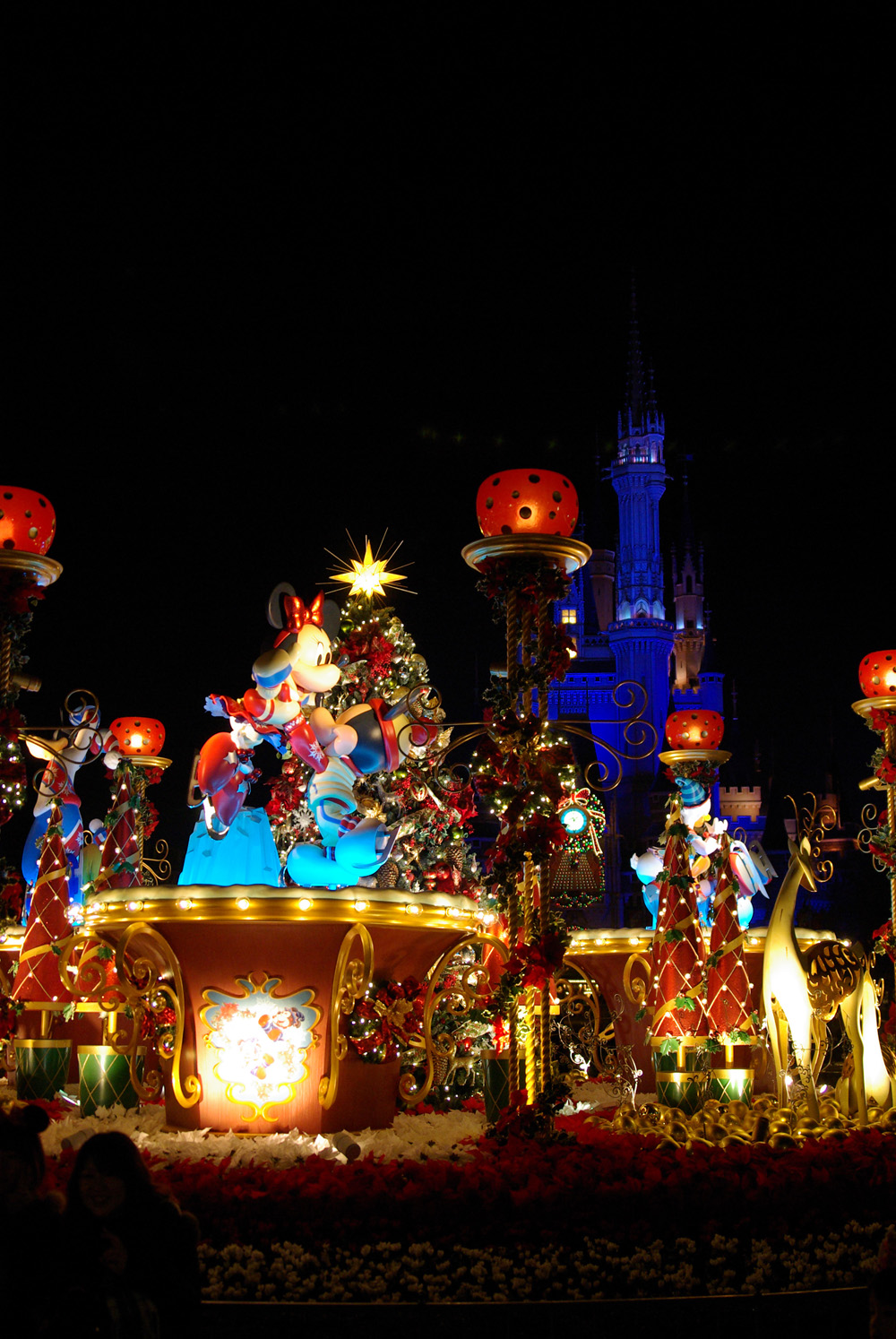 BLOG_IMGP8356 BLOG_IMGP8356