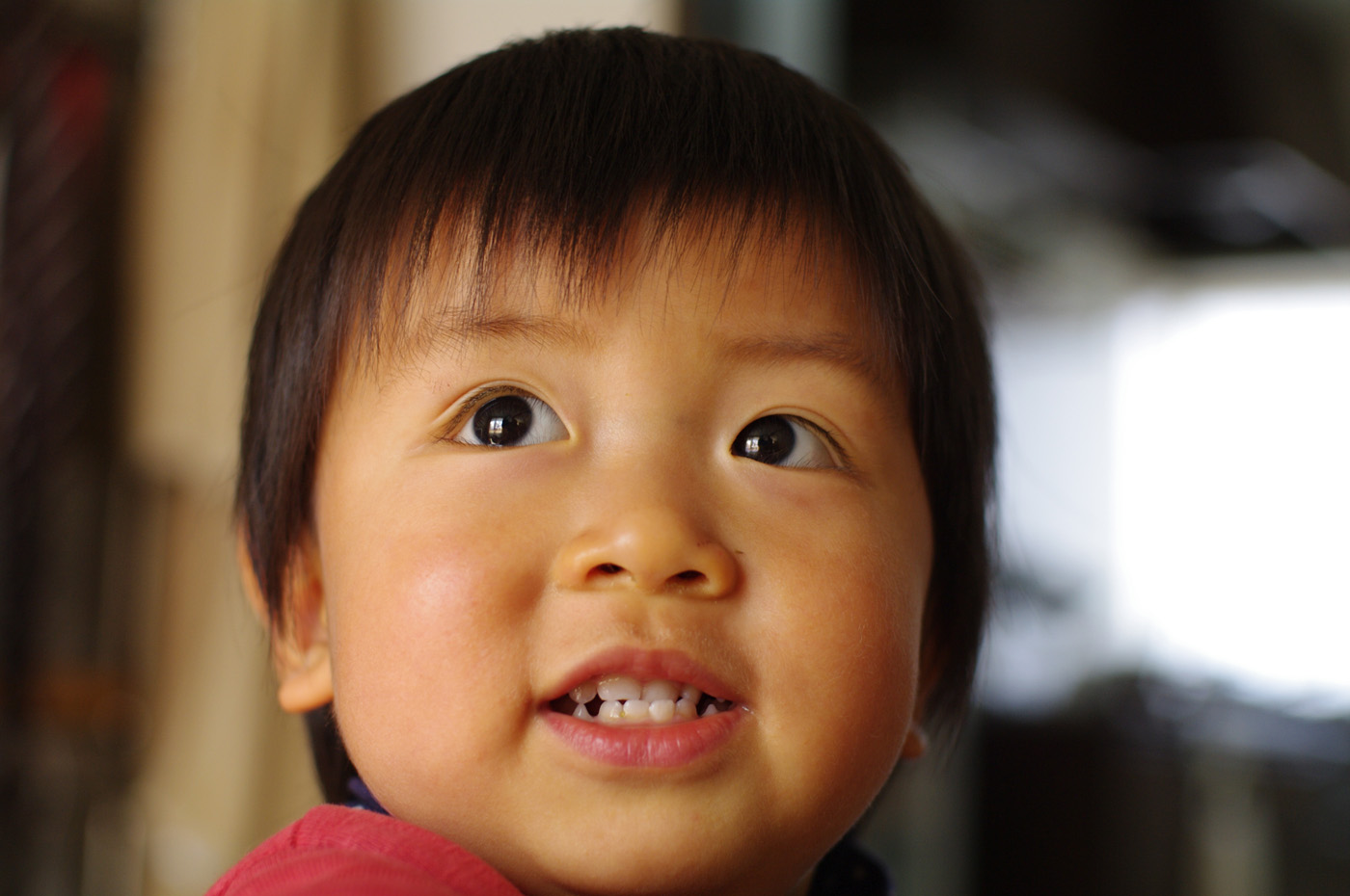 BLOG_IMGP1238 BLOG_IMGP1238