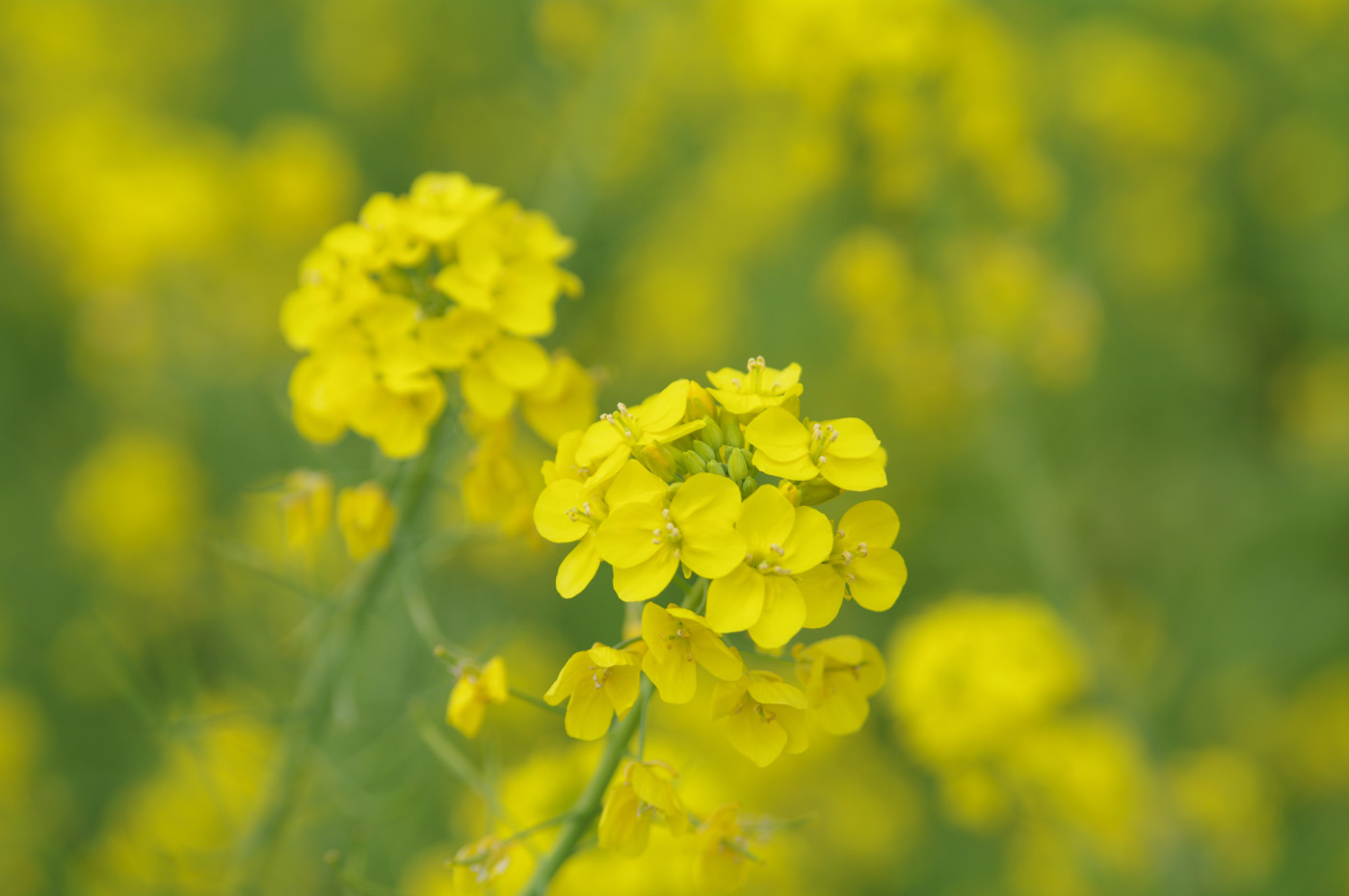 BLOG_IMGP2305 BLOG_IMGP2305