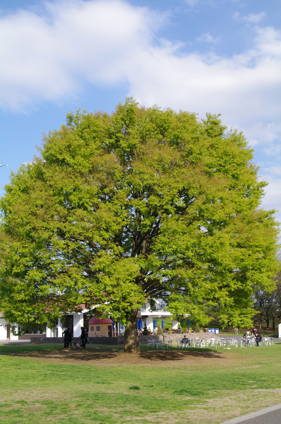 BLOG_IMGP2384 BLOG_IMGP2384