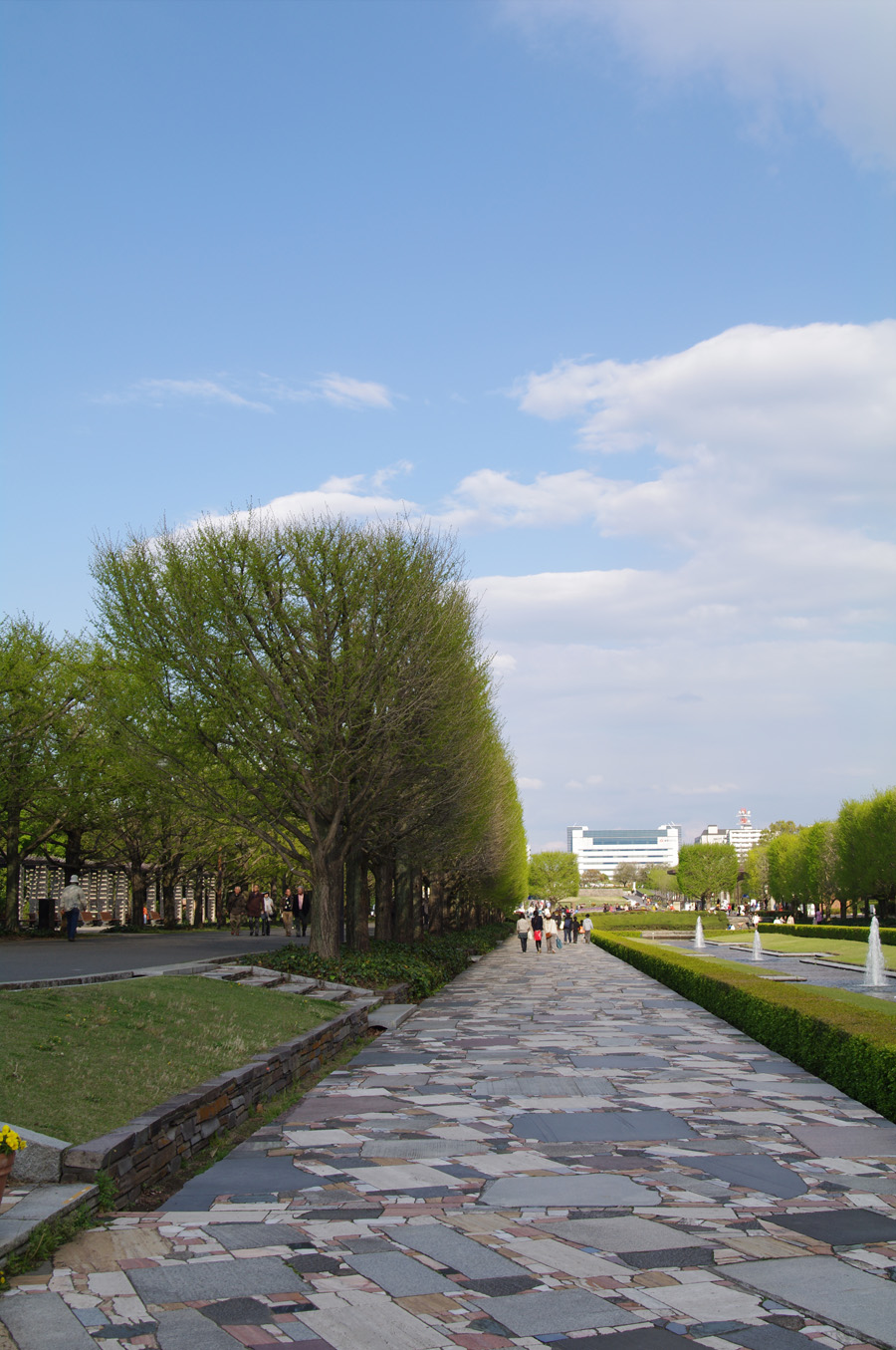 BLOG_IMGP2411 BLOG_IMGP2411