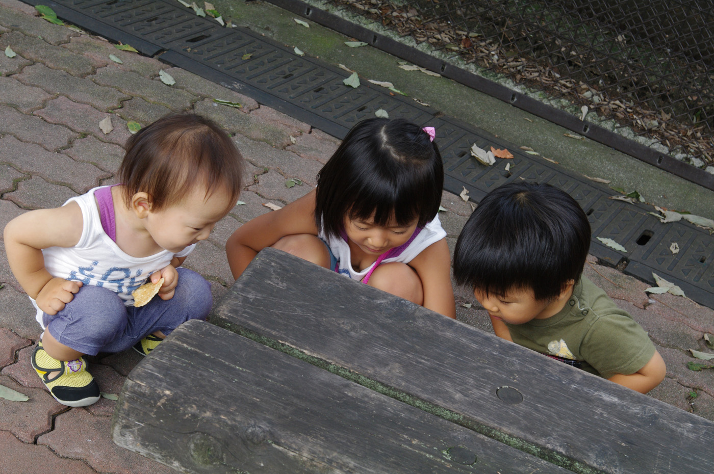 BLOG_IMGP4052 BLOG_IMGP4052